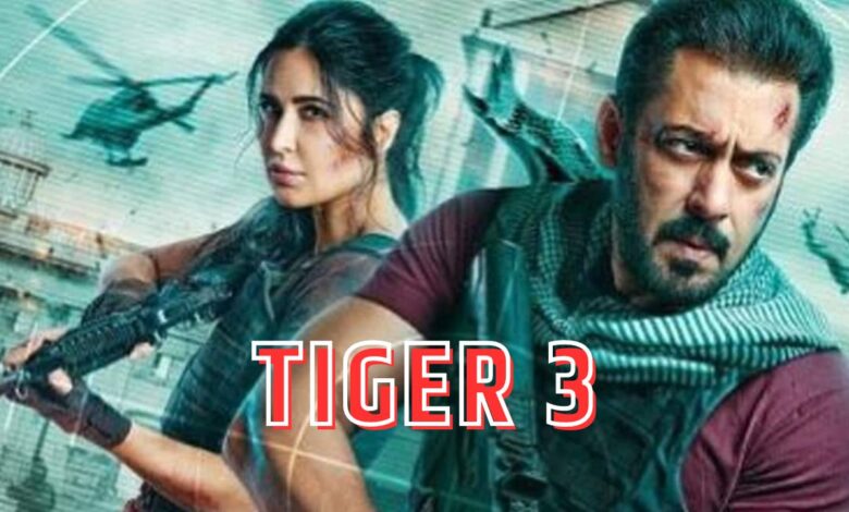 टाइगर 3: Tiger 3